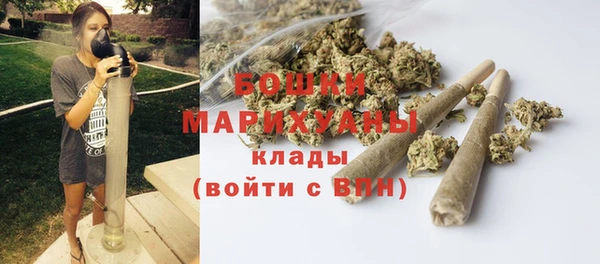 СК Медвежьегорск